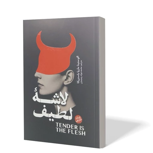کتاب لاشه لطیف اثر باستریکا